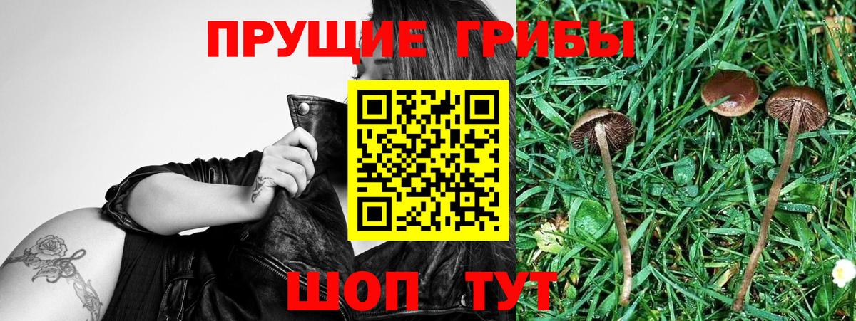 Галлюциногенные грибы GOLDEN TEACHER Серпухов